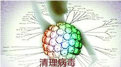 激光疗法有什么作用激光动力综合疗法1—2个疗程有效治疗扁平疣_https://www.jmylbn.com_新闻资讯_第8张